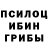 Галлюциногенные грибы Psilocybine cubensis Vuktor Vlasenko