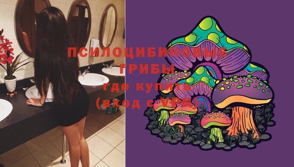 марихуана Новозыбков