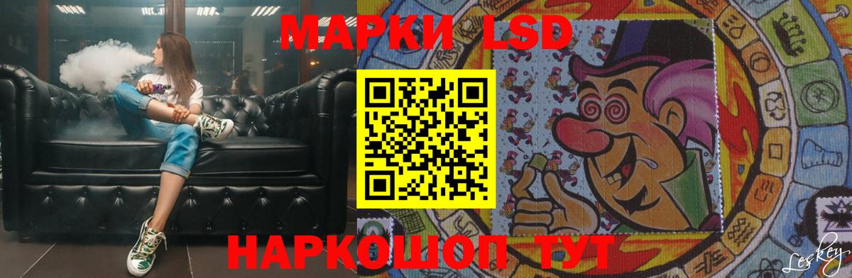 blacksprut как войти  Приморско-Ахтарск  LSD-25 экстази кислота  Лсд 25 экстази кислота 