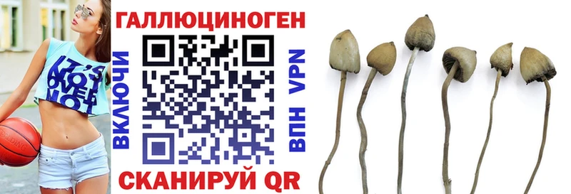 Псилоцибиновые грибы прущие грибы  наркотики  Приморско-Ахтарск 