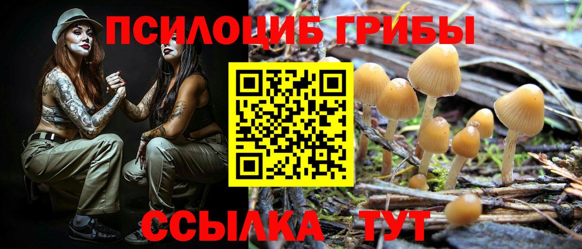 Приморско-Ахтарск  Псилоцибиновые грибы ЛСД  Вход с VPN  Псилоцибиновые грибы MAGIC MUSHROOMS 